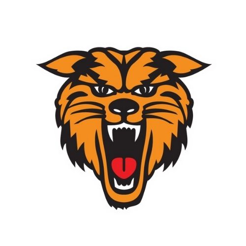 New Bloomfield Wildcats Mascot